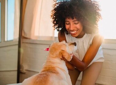 Redes de proteção para pets