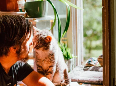 Rede de proteção no Jardim Paulista