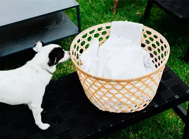 Varal mágico na Mooca